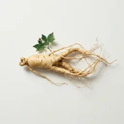 Ginseng extract