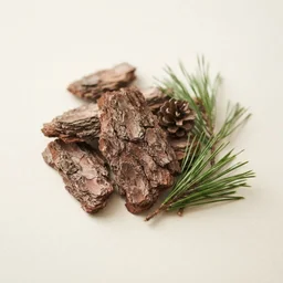 Pine needle