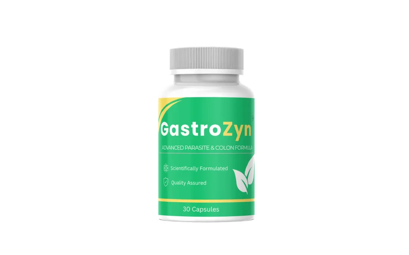 GastroZyn